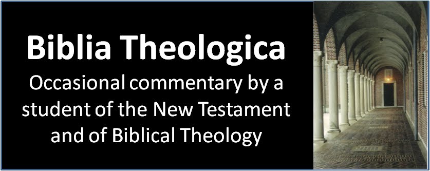 BIBLIA THEOLOGICA