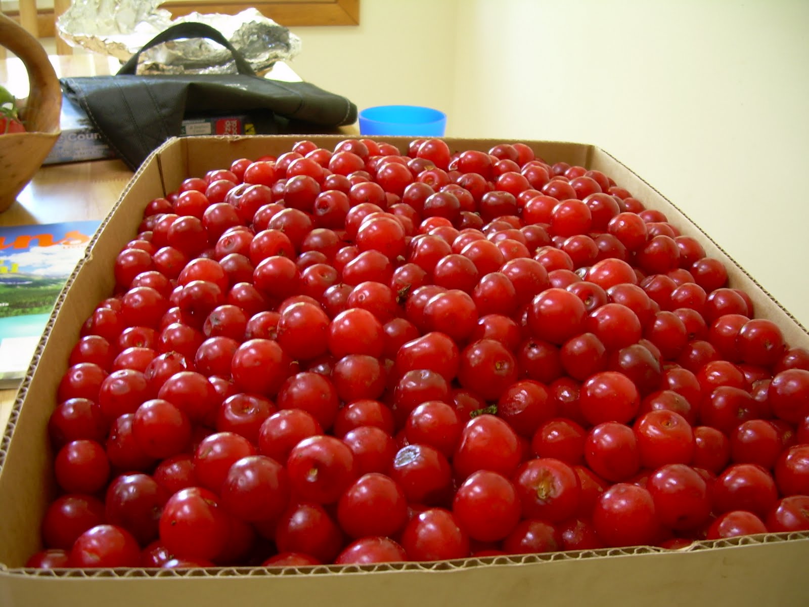 life.... More Pie Cherries