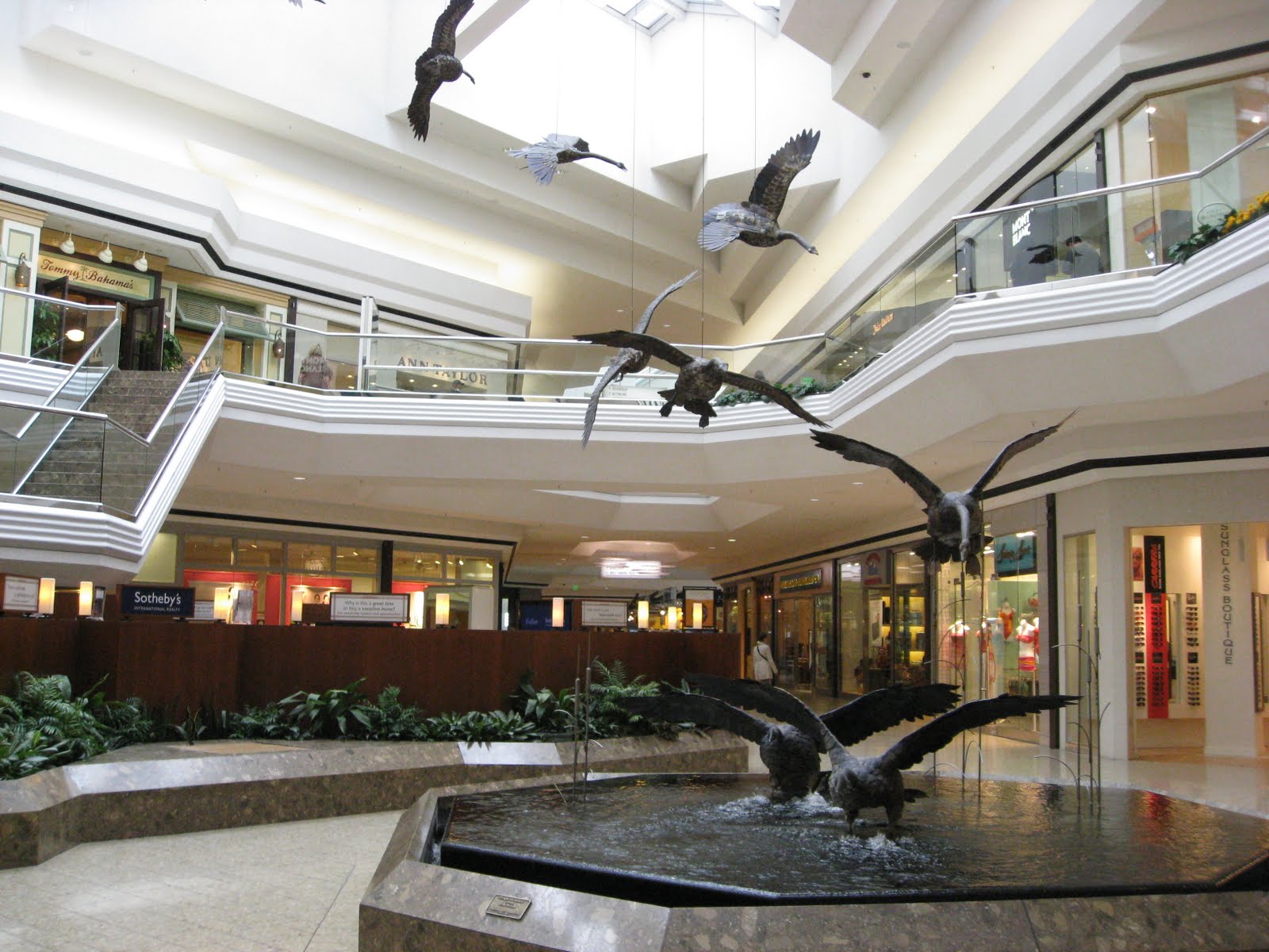 hweiming's blog Shopping at Cherry Creek