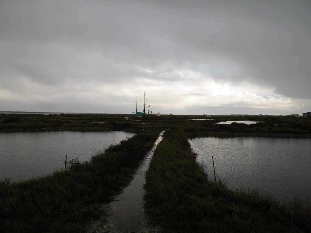 Balades dans les Charentes : La Grève à Duret