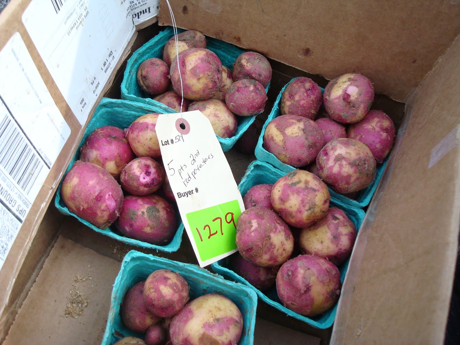 Katie's Kitchen Garden Amish Produce Auction