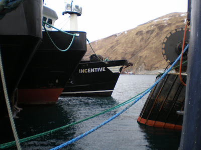 Fv Incentive Dutch Harbor Dirt to Nome Dirt: NW, Incentive, Billikin, and ...