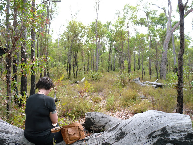 DreamScaping in Boyanup