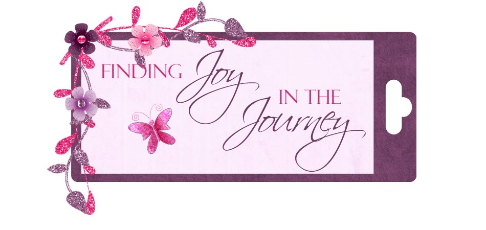 Finding Joy in the Journey...