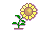 girasole1.gif