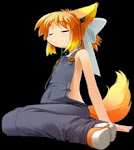 Descarga Firefox 3.5