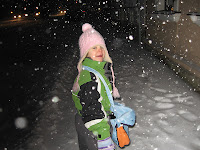 Der erste Schnee 2007