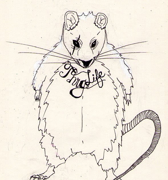 Тату крыса эскиз