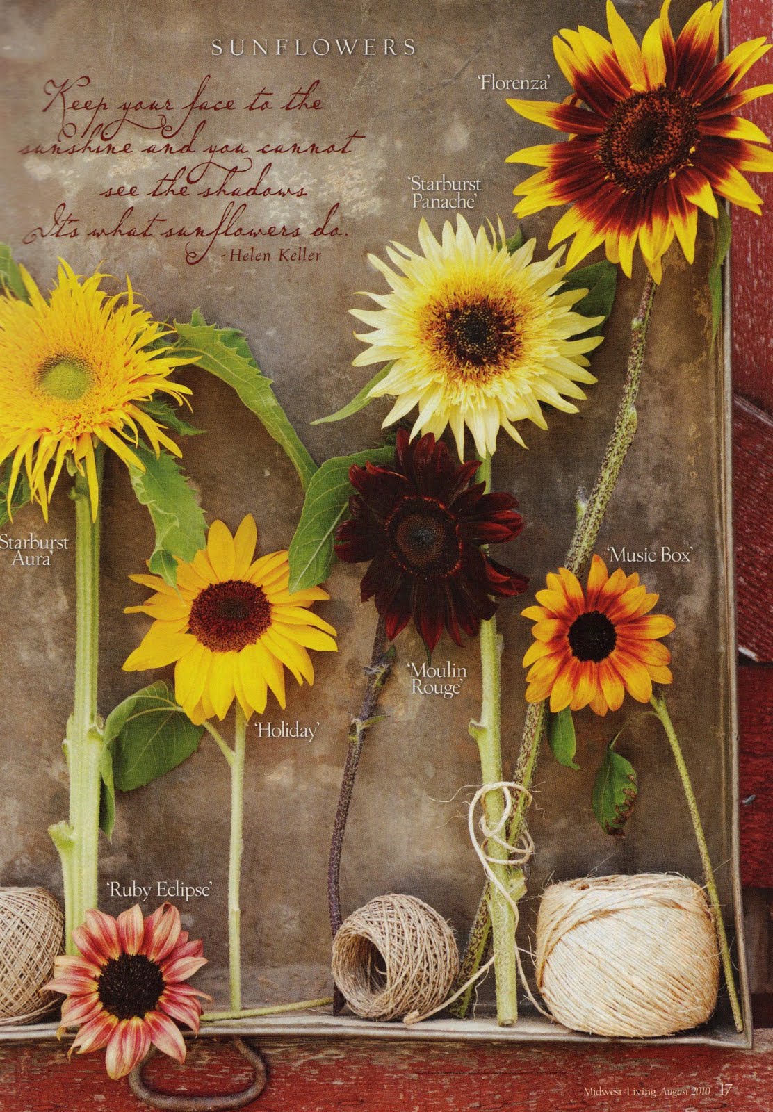 Vintage Inspiration Friday #1: Sunflowers.