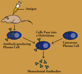 Technology of World Afflopedia
