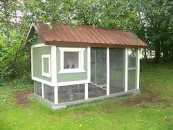 Life in the Prairie Box: Backyard chickens: The finished coop