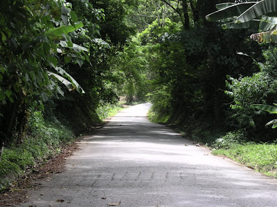 Turismo Rural en Birongo Turismo rural y cultural en Birongo, estado