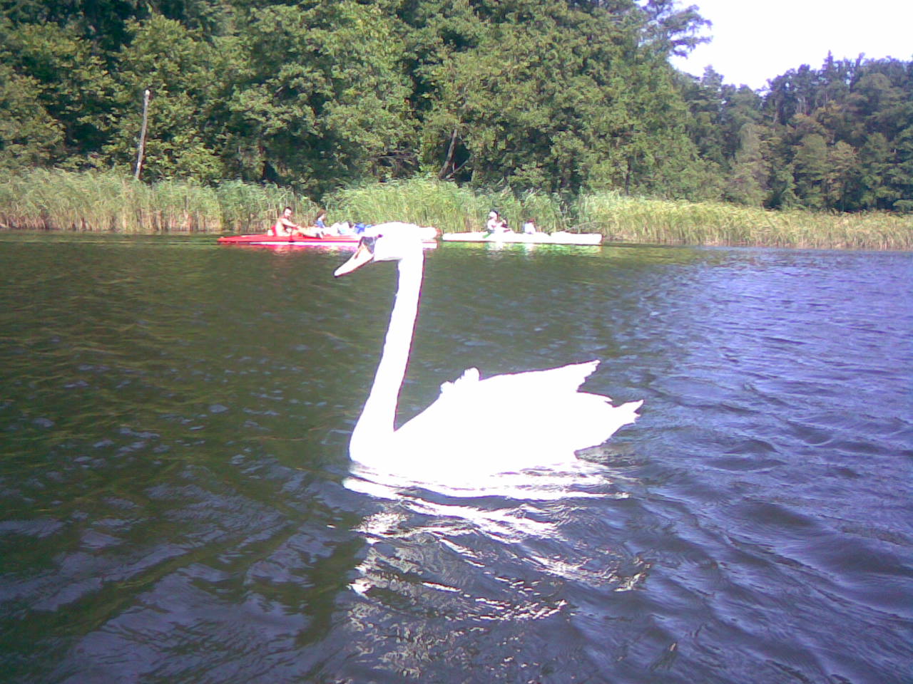 [20090809(056)-739396.jpg]