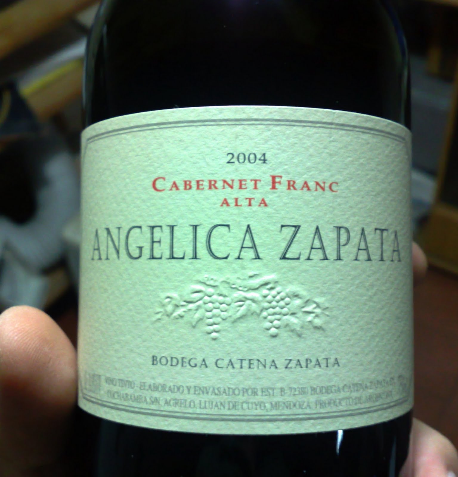 Argentina´s Wines Revisited by Miguel Angélica Zapata Alta,