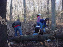 Pre-Trip Volunteering