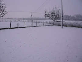 Snow!!