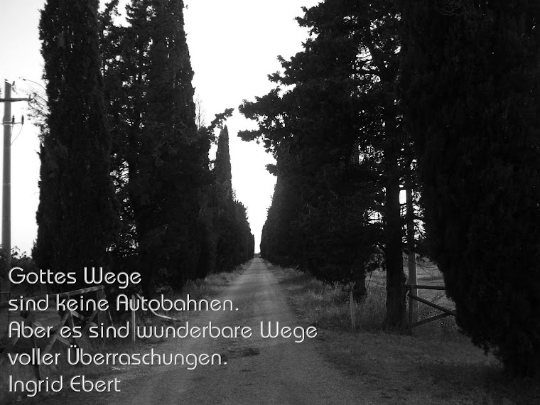 Schöne Zitate Koran zitate hartes leben