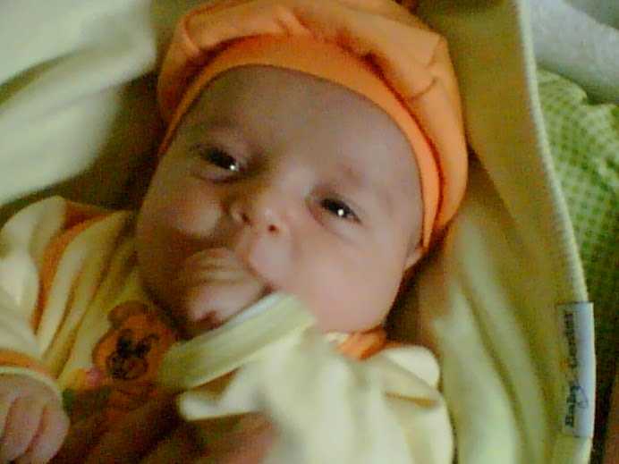 Arif Mirza ARAS (Yiyenim)