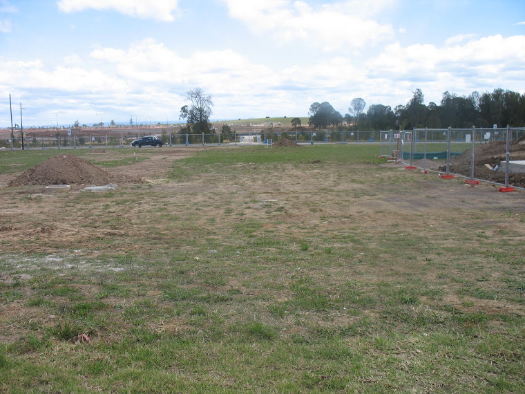 Our Plot