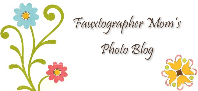 Fauxtographer Mom's Photo Blog