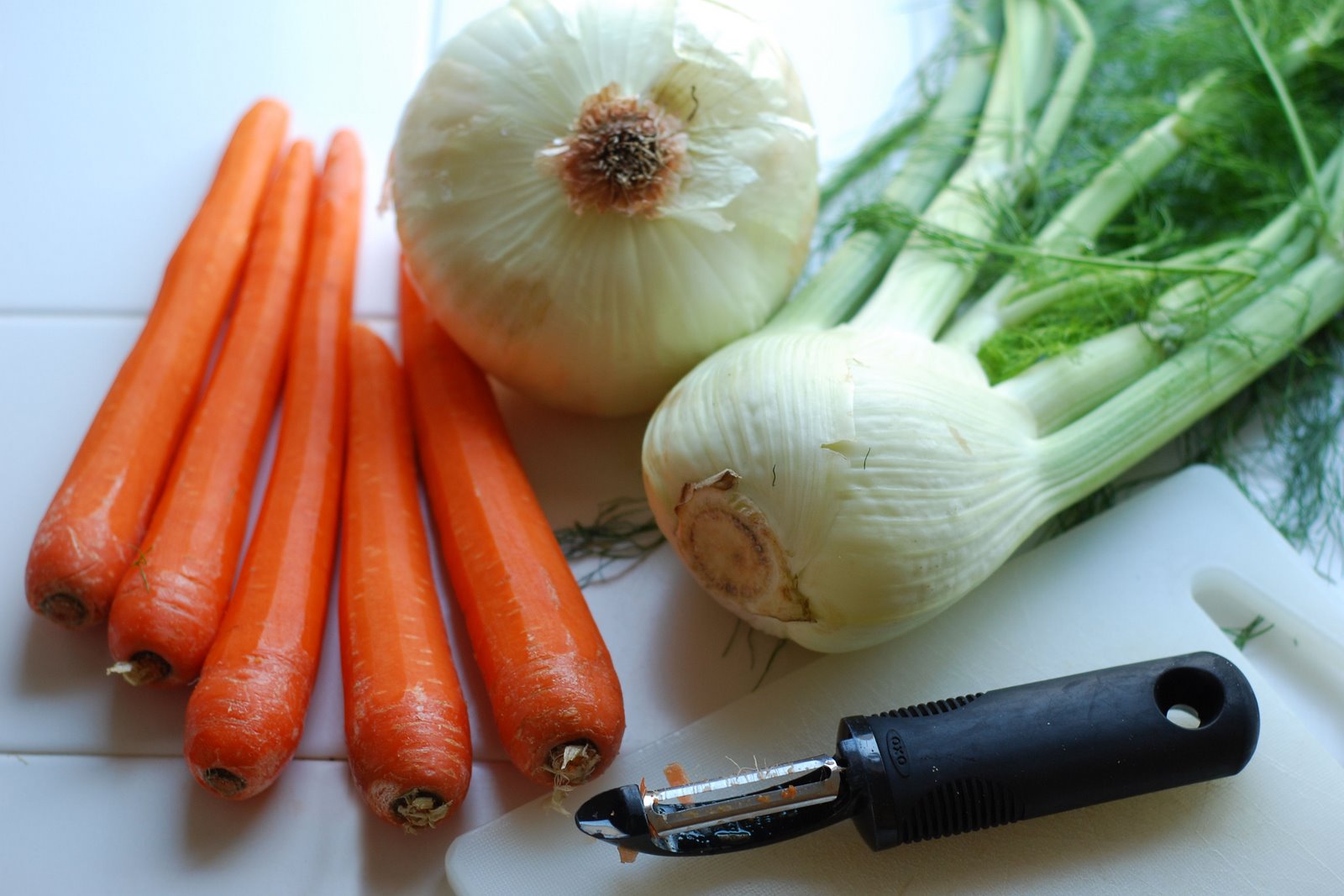 [carrot+fennel+1.jpg]