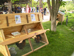 frame chicken coop designs modern creative aframe