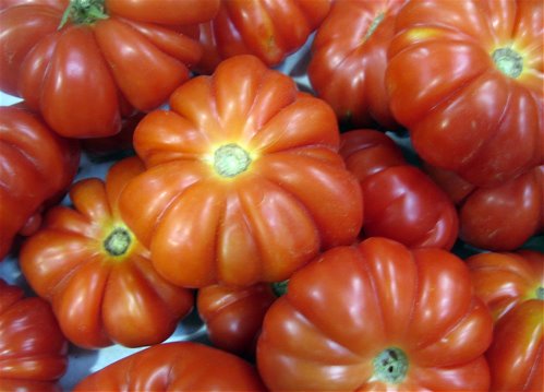 Casalini heirloom tomatoes