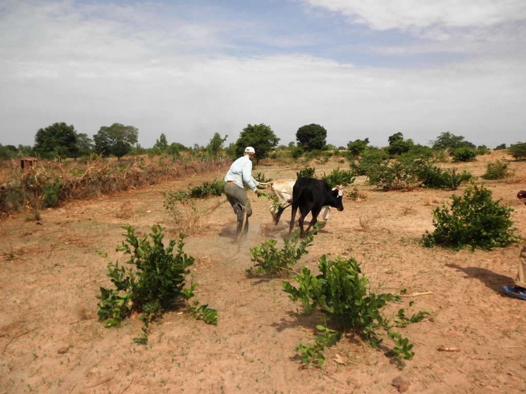 Agent Stoermer in Senegal Farming in the bush