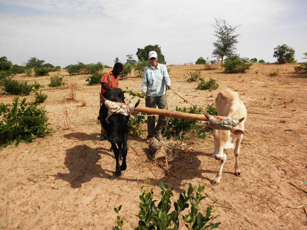 Agent Stoermer in Senegal Farming in the bush