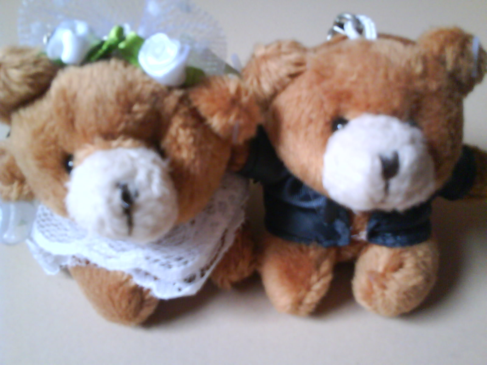 [Bear+Couple.JPG]