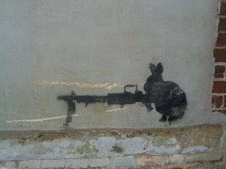 cute Rabbit with gun wallpapers/photos