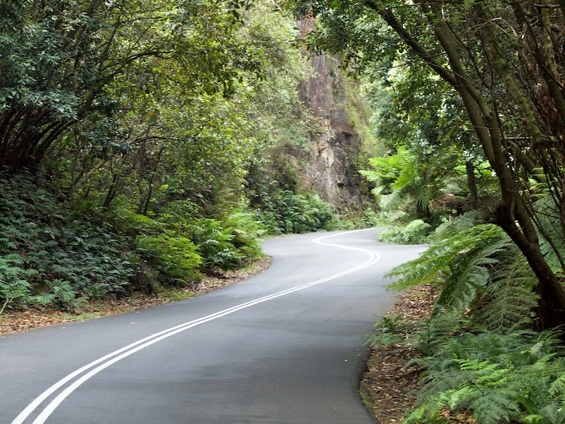 [Megalong+Valley+Road++349.jpg]