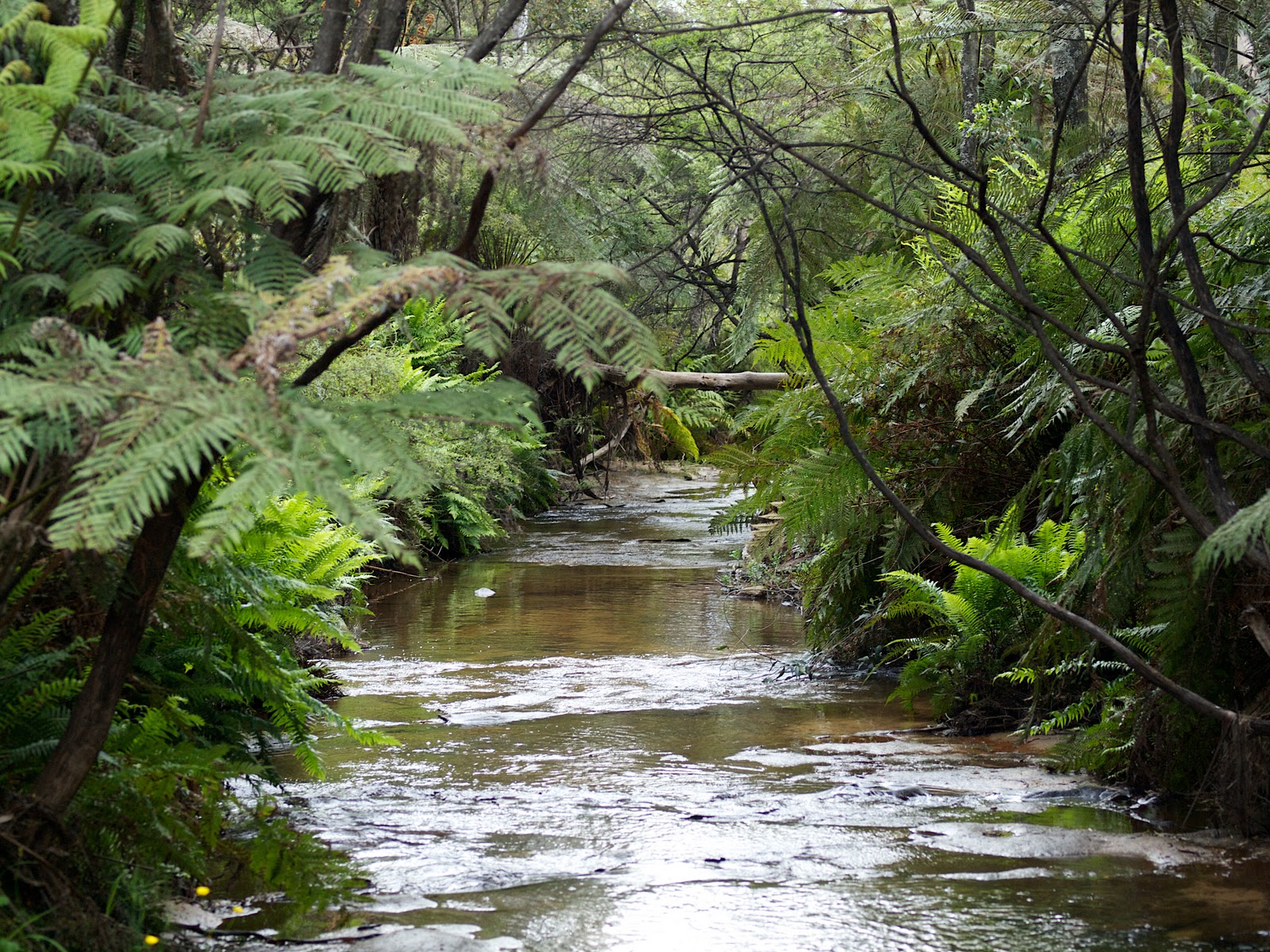 Creek Creek