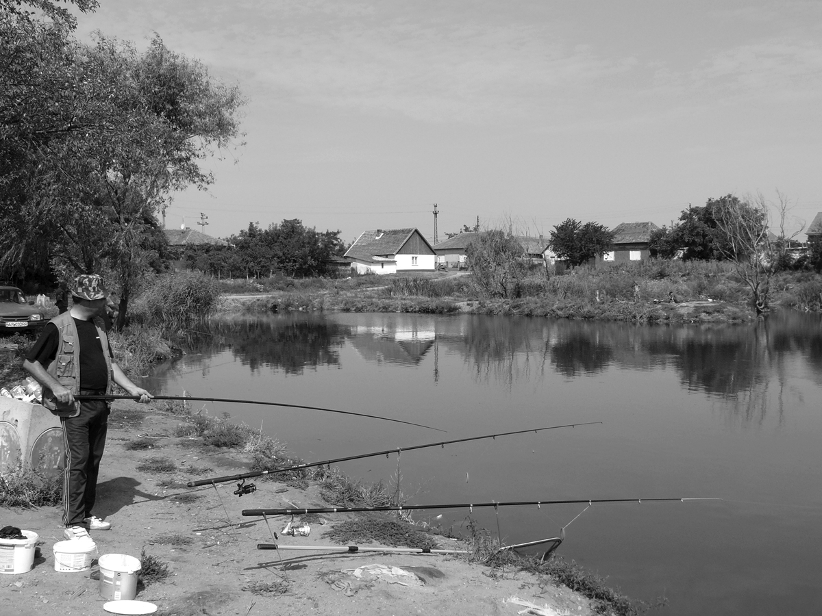 Curtici Curtici in alb negru