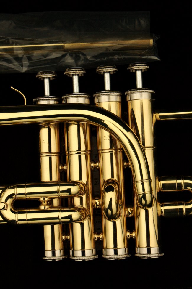 Northwest Musical Instrument Company String Bass, Altonium, Piccolo