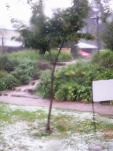 Major hail storm