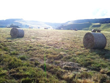 Haystacks