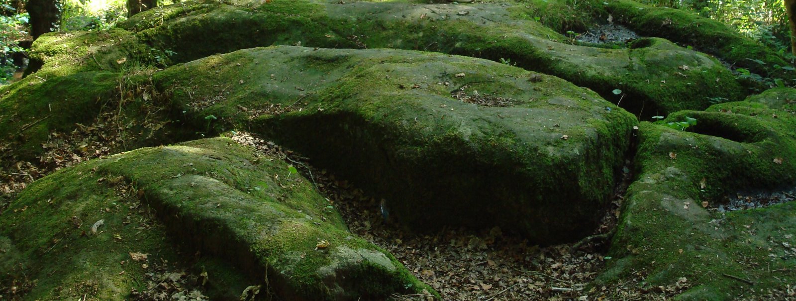 [La+Roche+au+Geant+(2).JPG]