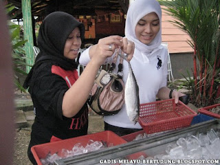 Gambar Bogel Gambar Awek Nurse Malaysia   Melayu Boleh.Com
