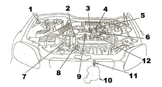 Car Wiring Diagrams: Honda Civic Parts | Engines (DOHC)