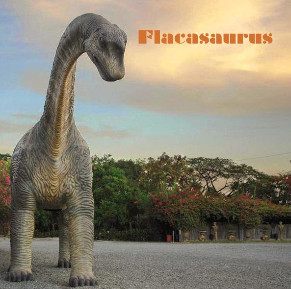 Flacasaurus