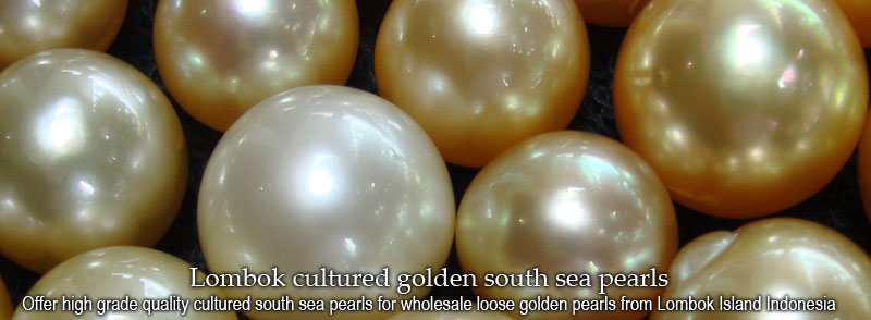 Cultured loose golden south sea pearls