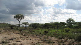 "Samburu"