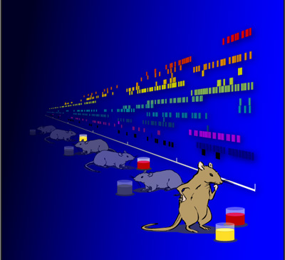 [order_drawing_large.jpg]