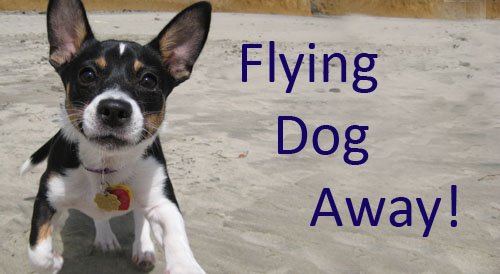 Flying Dog Away!