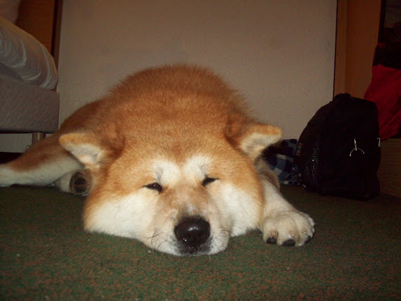 MOI AUSSI  JE SUIS FATIGUE !!!