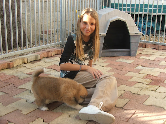 FIN CHIOTS 27 JOURS