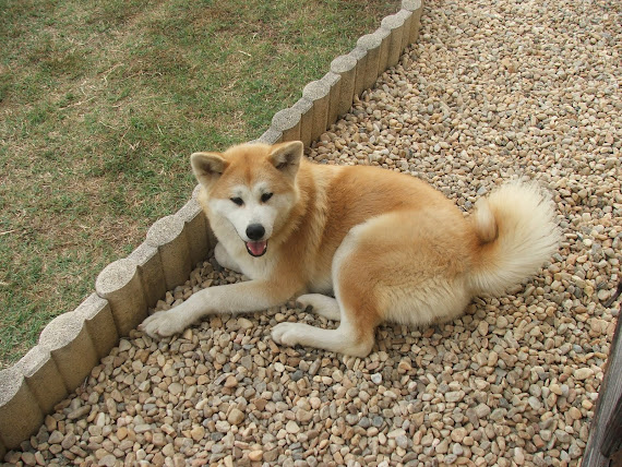 EMIKO