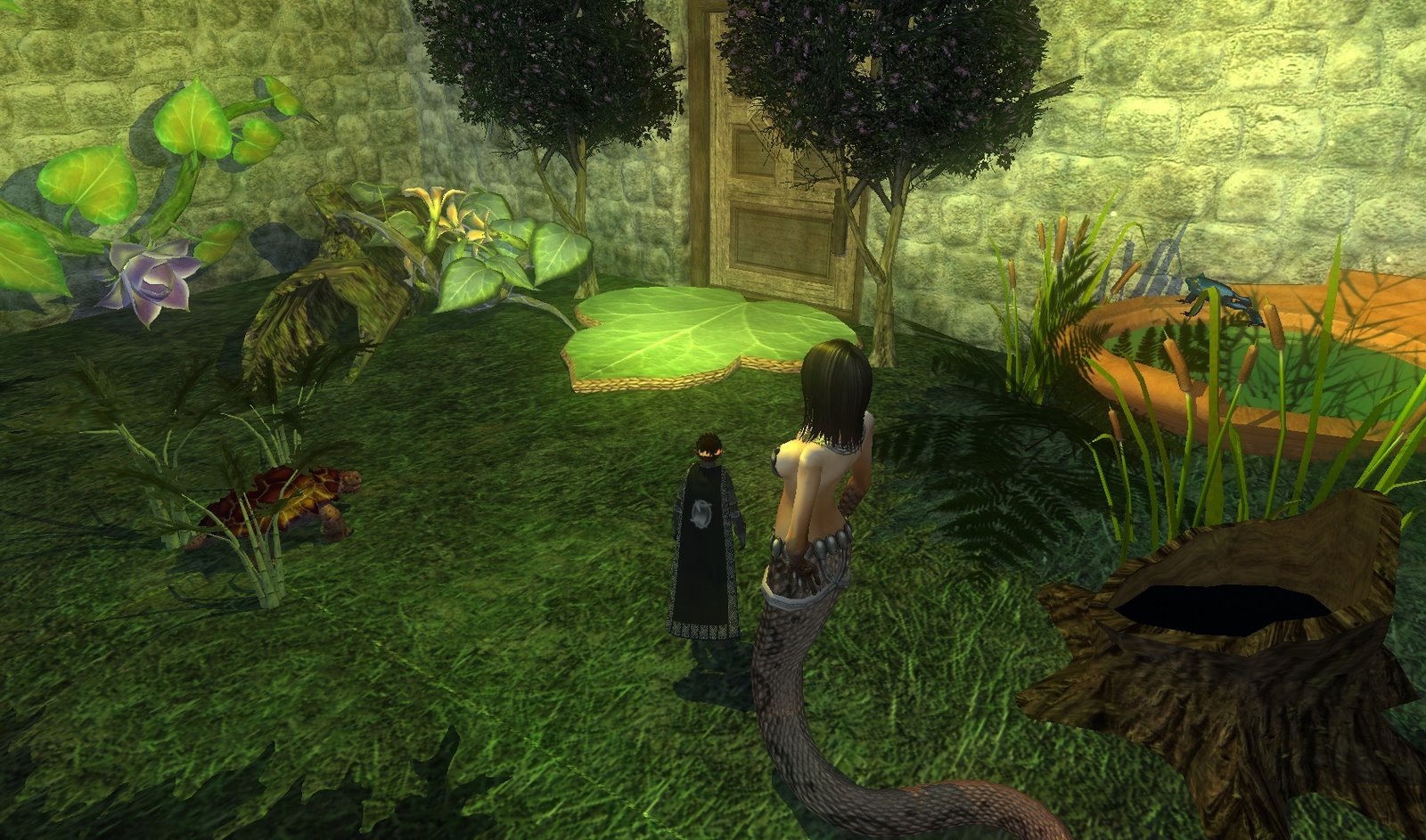[EQ2_000048.jpg]