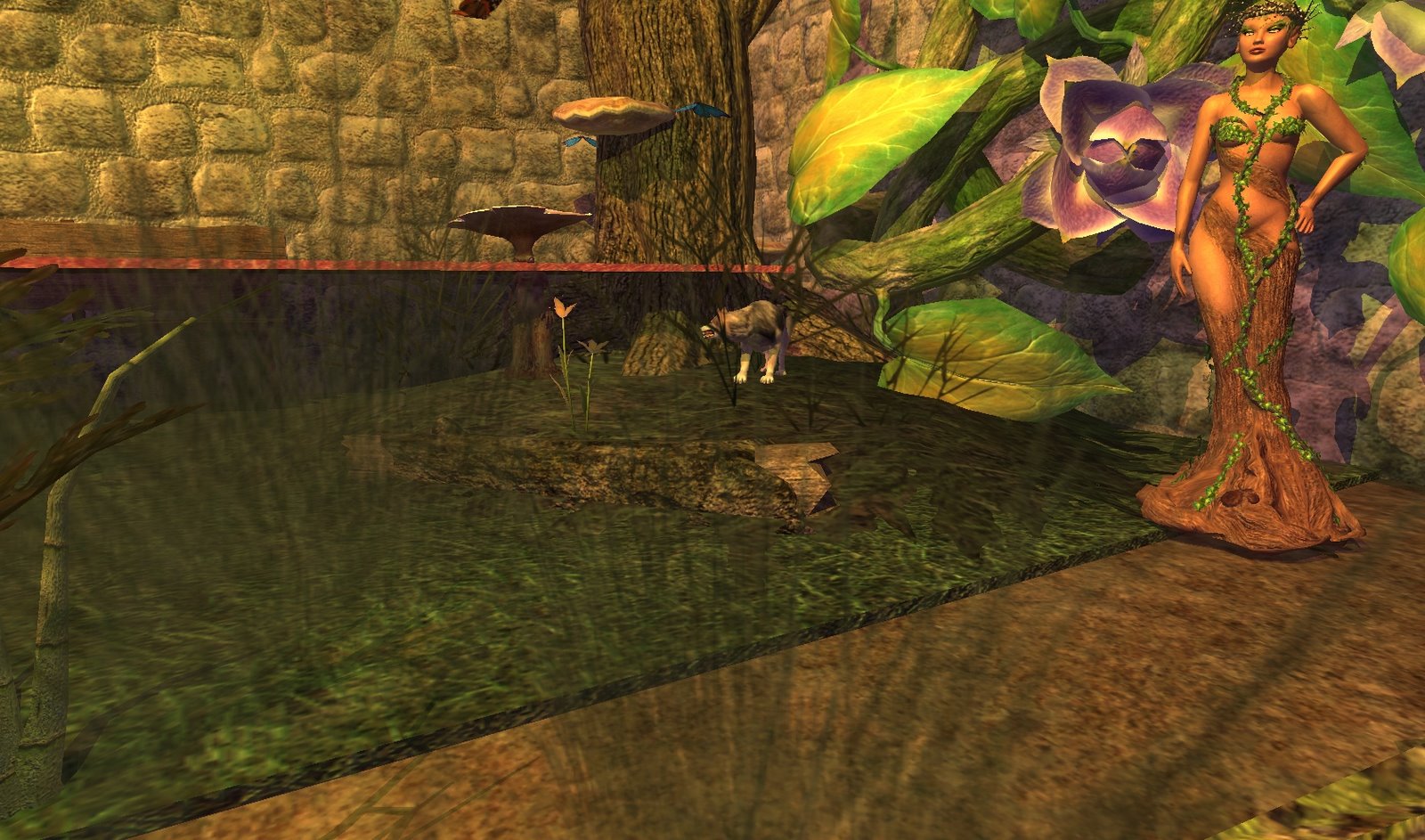 [EQ2_000049.jpg]